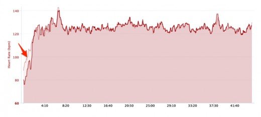 Mio vs Garmin HRM 45 min