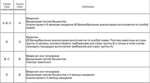 Rules of transportation of animals, how to travel with animals, about-everything.wiki, about-everything.wiki.ru 