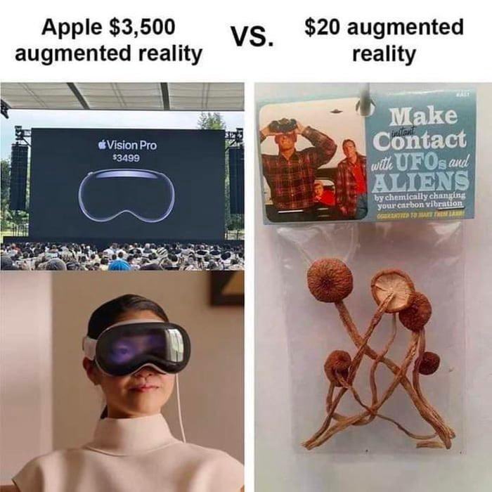 Elon Musk compared Apple Vision Pro to hallucinogenic mushrooms